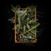 Смесь Cobra Virgin Fir (3-713 Пихта) 50г