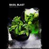 Dark Side Medium (Core) Basil Blast (Базилик) 100г